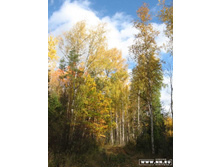 ����� �������