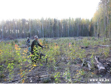 �������