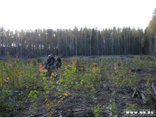 ������� 2