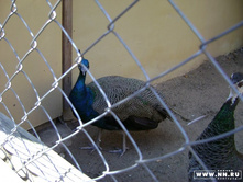 ������ 2