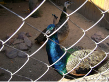 ������ 3