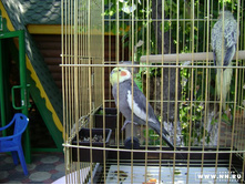 ������� 2