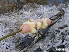 ������ ����������