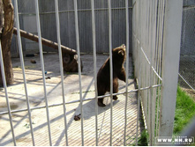 ������ ����