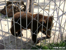 ������ ���� 2