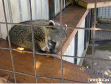 ������ 2