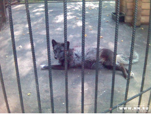 ���������� ������