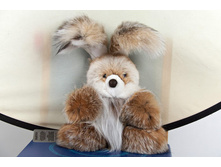 �����.  2900 �