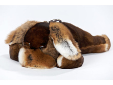 ������. 3500 �