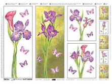 99492 ������ ��� �������� TO-DO 239, ����������� �����.���� 3,95 ����.jpg