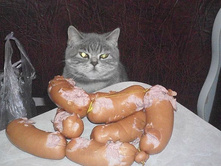 ��������������