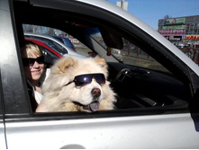 P20-04-13_10.16.jpg