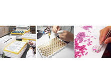 ������ ����������. ������ ��������� ��������� �������� �������. ��� ���� ���������� �����.