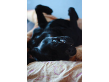 ����������� 069.jpg