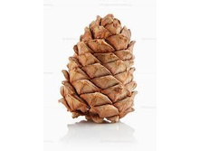 �������� ����� 38 ��� 1��.jpg