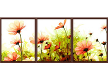 P057_�������� ������.jpg