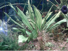 20131004_103652.jpg