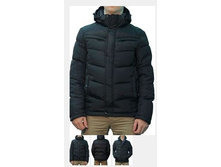 2032black Polar Be**ar