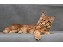 9,5 �������