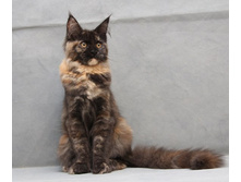 4,5 ������