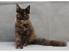 4,5 ������