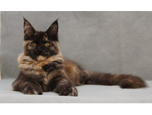 4,5 ������