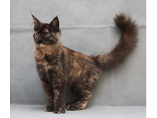 4,5 ������