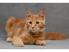 4,5 ������