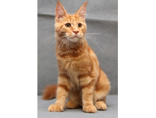 4,5 ������