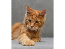 4,5 ������