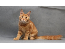 4,5 ������