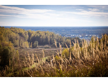 20131006-DSC05282.jpg