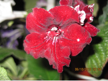 DS - �������� ����