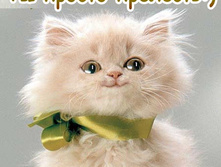 �� ������ ��������.jpg