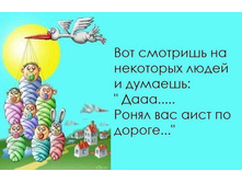 ���� �����.jpg