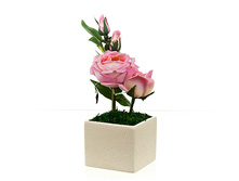 4510006.jpg    1290�