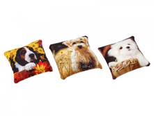 �������������� ������� ������ ���..jpeg