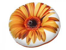 �������������� ������� ��������� ����.jpg