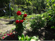 �������