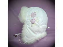 �������.jpg 433�