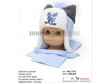 AML-CH34_280 ���.jpg