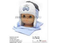 AML-CH14_280 ���.jpg