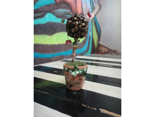 ��������������� ����