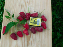 ������ ������ 130�