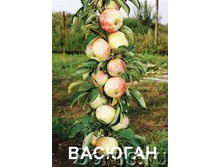 ������� 230�