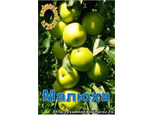 ������ 230�