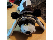 ��� ����