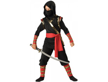 ������������ ������ ������ ��� �������� - Ninja.jpg