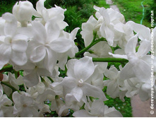 ������ ��������� �������