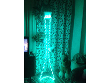 2013-06-02 22.35.08.jpg